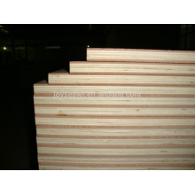 Poplar/Hardwood/Brich core plywood, sandwich plywood,commercial plywood